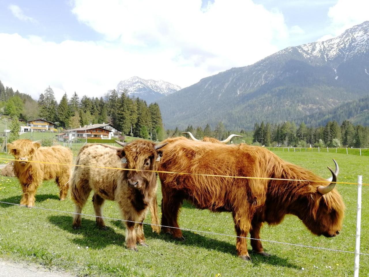 Camping Lechtal Hotell Vorderhornbach Exteriör bild