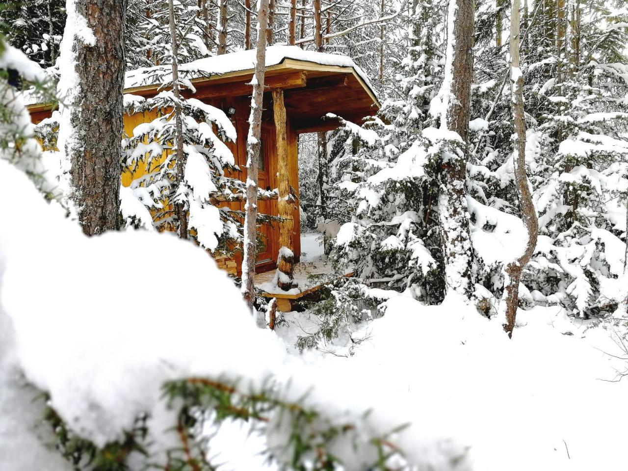 Camping Lechtal Hotell Vorderhornbach Exteriör bild